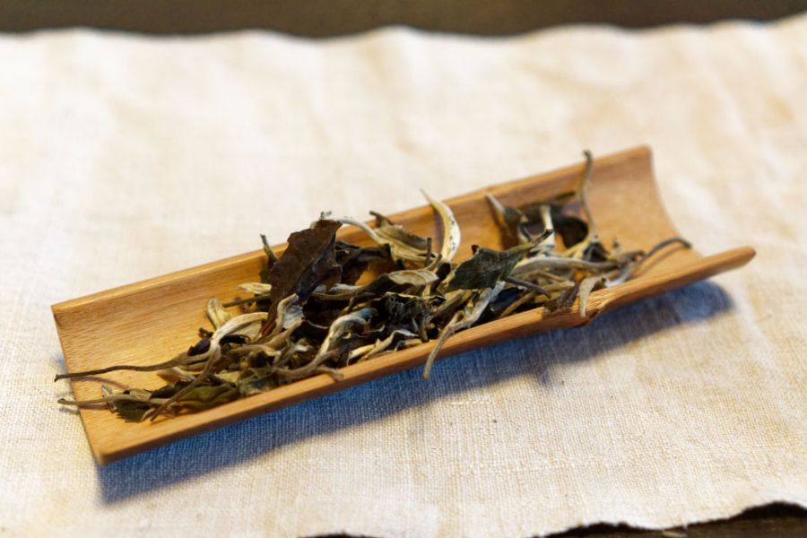 5 benefits of white tea